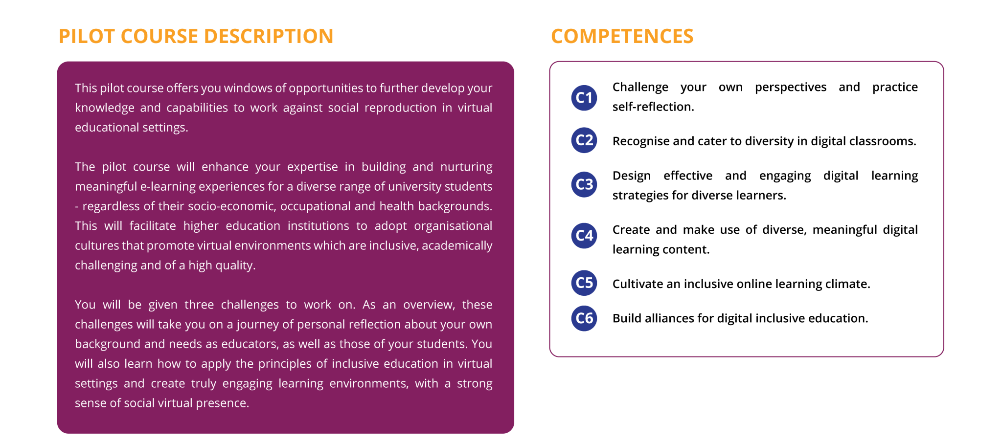 Digital Inclusion Course eInclusion